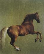George Stubbs whistlejacket china oil painting reproduction